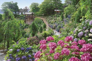 1000s[X WO\[pY ߂pY̒Bl AWTC炭P-s-(50x75cm)