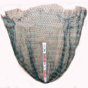 ���啨 120cm�ʘg��p PE20�� ��҂� ���ʕ� �^����