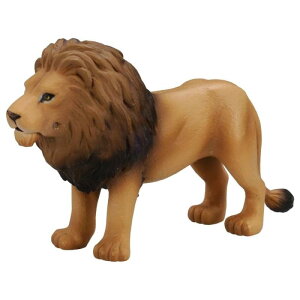 ���i�摜