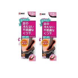 足の冷えない不思議なくつ下 足すっぽり インナーソックス ブラック 22-25cm 2個セット 桐灰