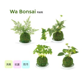 フェイクグリーン 和盆栽 Wa Bonsai 消臭アーティフィシャルグリーン 苔玉タイプ 消臭 抗菌 防汚 造花 デオドラント 観葉植物 キシマ フェイク