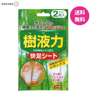 t V[g(12) VRtz V[g tV[g IׂZbg ̔ \ĐQ邾 PA   ӂ͂ ނ݉ bNXObY X|[c {