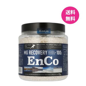 oX\g EnCo ZxVR}OlVE100  1.5kg GR jO AX[g VR O[g\gCN VJX^C C Y  F q e bNX 