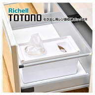 トトノ 引き出し用 レジ袋収納ボックスR リッチェル キッチン収納 約幅28.5cm 引き出し用 抗菌加工 レジ…