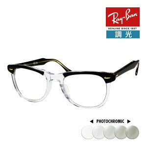 Co TOX rb2398f 53TCY 1294GJ [ubWtBbg RAYBAN EAGLEEYE C[OAC