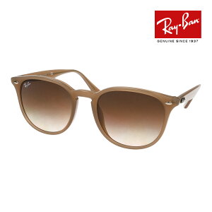 ���C�o�� �T���O���X rb4259f 53�T�C�Y 616613 ���[�u���b�W�t�B�b�g RAYBAN