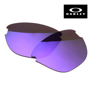 �I�[�N���[ �t���b�O�X�L�����C�g 102-880 �n�C�u���b�W�t�B�b�g �T���O���X �v���Y�� ���������Y