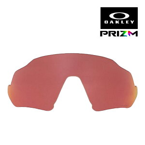 I[N[ tCg WPbg 102-899-022 nCubWtBbg TOX Y vY OAKLEY FLIGHT JACKET