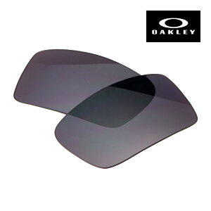 �I�[�N���[ �K�X�J�� 13-503 �n�C�u���b�W�t�B�b�g �T���O���X ���������Y