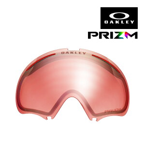 I[N[ S[O Y G[t[ 2.0 101-244-006 OAKLEY A FRAME2.0 LENS vY XL[ Xm{ Xm[{[h