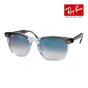 レイバン HAWKEYE RB2298F (サングラス) 価格比較 - 価格.com