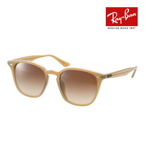 ���C�o�� �T���O���X rb4258f 52�T�C�Y 616613 ���[�u���b�W�t�B�b�g RAYBAN