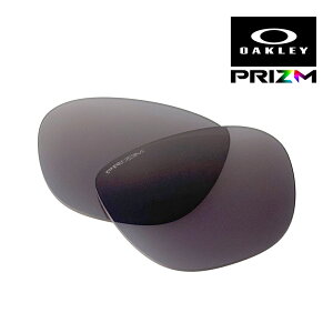 I[N[ AN`G[^[ 103-598-001 TOX Y vY OAKLEY ACTUATOR LENS