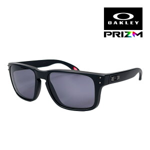 �I�[�N���[ �z���u���b�N S oo9509-0253 �n�C�u���b�W�t�B�b�g �T���O���X �v���Y�� OAKLEY HOLBROOK S SUNGLASS