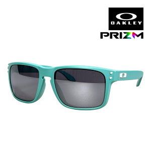�I�[�N���[ �z���u���b�N oo9244-8056 ���[�u���b�W�t�B�b�g �T���O���X �v���Y�� OAKLEY HOLBROOK SUNGLASS