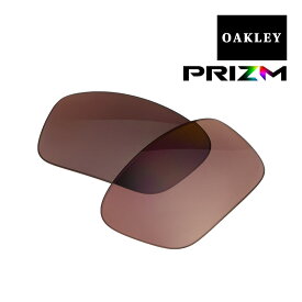 オークリー ストレートリンク サングラス 交換レンズ プリズム 偏光 102-396-027 OAKLEY STRAIGHTLINK PRIZM DAILY POLARIZED