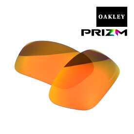 オークリー ストレートリンク サングラス 交換レンズ プリズム 偏光 102-778-012 OAKLEY STRAIGHTLINK PRIZM RUBY POLARIZED