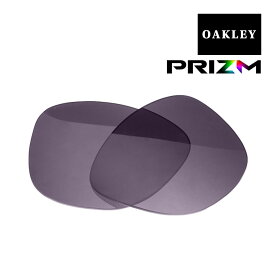 オークリー フロッグスキン サングラス 交換レンズ プリズム 102-797-003 OAKLEY FROGSKINS PRIZM GREY