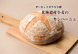 yI[ZgzeMzkCỸJp[j@lC̃n[hpV[YupEhEJp[jv1{yⓀzyn[hpzⓀïׁA̗①iƓł