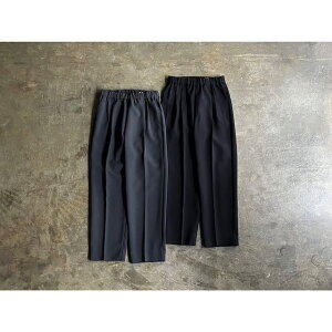 �sService Price 30���t�yFLISTFIA�z�t���X�g�t�B�A Polyester Tuck Wide Trousers style No. WR10016