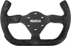 XpR XeAOzC[ P310 OPEN 2022NfXDG[h nh