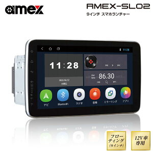 amex ؐ쏊 X}z`[(fBXvCI[fBI) 9C`t[eBO 2DIN Ot}CN ʌ胂f AMEX-SL02M