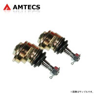 AMTECS アムテックス SPC 67135 キャンバー調整用ボールジョイント1.5° フロント用 アコード CL7 CL9 H1…