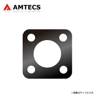 AMTECS アムテックス SPC 71862 リアキャンバープレート ±1.00°(1°0') 1枚 マーチ K13 H22.7～R4.12 F…