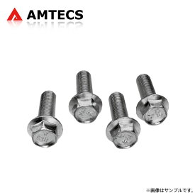 AMTECS アムテックス M10 X 1.25 X 30 ボルト 4本セット キューブ Z12 2008〜2018 ※離島は送料要確認