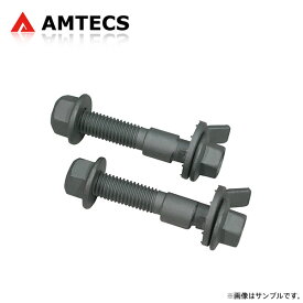 AMTECS アムテックス SPC EZカムXR キャンバー調整ボルト 17mm フロント用 アルファードハイブリッド ATH10W 2003〜2010