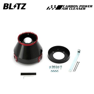 BLITZ ブリッツ カーボンパワーエアクリーナー セレナ RC24 H13.12〜H17.5 QR25DE