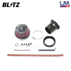 BLITZ �u���b�c �T�X�p���[ �R�A�^�C�vLM ���b�h �G�A�N���[�i�[ ���N�T�X RX500h TALH17 R4.11�` T24A-FTS 4WD