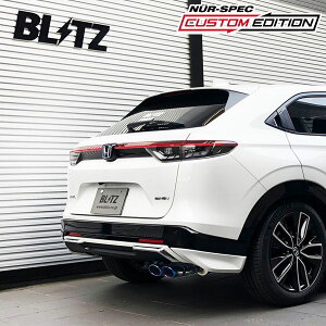 BLITZ �u���b�c �}�t���[ �j�����X�y�b�N �J�X�^���G�f�B�V����VS ���F�[�� 6AA-RV5 R3.4�` LEC FF e:HEV 63580