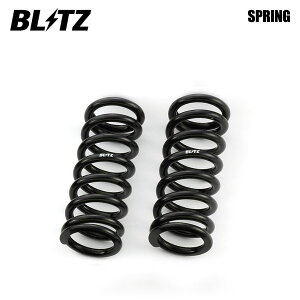 BLITZ ubc _p[ ZZ-R CXvO() 2{Zbg aID 62 Xg[g R 220mm [g 3kgf/mm