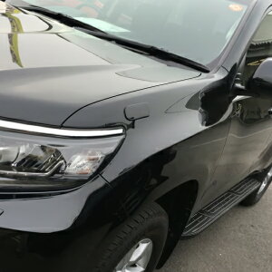 ~ebh`gZ RICK'S AVXg~[z[Jo[ p J[dl hN[U[vh 150n  E͗vmF