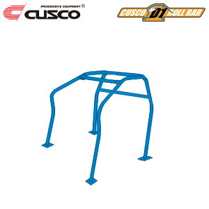 CUSCO NXR [P[W D1 tg 4_+CA[`o[ 2 ђ S2000 AP1 1999N04`2005N11 F20C 2.0 FR E͒ lsAԉ̂