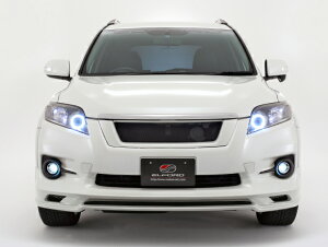 ELFORD GtH[h tgn[tX|C[ @K[h 2010/2`() Chԗp