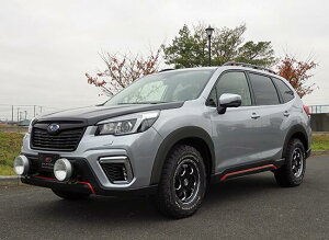 ELFORD �G���t�H�[�h 10mm���C�h �I�[�o�[�t�F���_�[ �t�H���X�^�[ SK�n