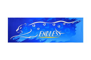 ENDLESS �G���h���X �⊴�^�I�� GSP-RKT