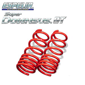 ESPELIR GXyA X[p[_ETXGT Â VrbN FK8 H29/9` K20C 2WD ^[{ 2.0L ^CvR