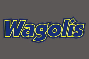 FUJITSUBO tWc{ XebJ[ Wagolis 014-50155 E͑vmF