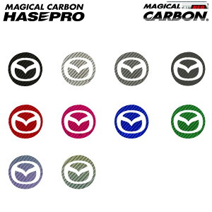 hasepro nZv }WJJ[{ zC[LbvGu ANZnCubh BYEFP 2013/11`