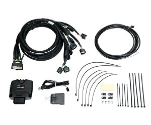 HKS p[GfB^[R ԎʃLbg tFAfBZ RZ34 22/07- VR30DDTT 6MT/9M-ATxɓKA NISMOmF