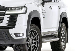 JAOS WIX I[o[tF_[ type-S hi }bgubN hN[U[ FJA300W VJA300W 2021/08` ZX 