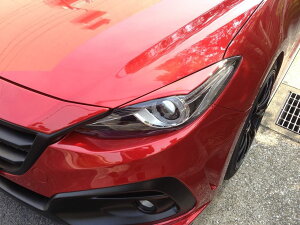 iCgX|[c ACC ANZ BM O kCEE͗vmF