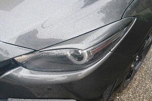 iCgX|[c ACC ANZ BM  kCEE͗vmF