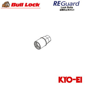 iY BullLock REGuard K[h bN{gp L[A_v^[ 17/19HEXp