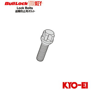 iY BullLock TUSKEY ^XL[ [pi bN{g (1{) M14×P1.5 t13Rʍ 񉺒28 ubN