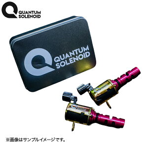 LEXON N@^\mChQS-R GL][Xg 2Zbg GXeB} GSR50W GSR55W 2GR-FE E͗vmF