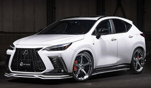 M'z SPEED 4_Lbg h蕪h (212/BK) AES NTX NX350 TAZA25 R3.11` FX|[c C 2362